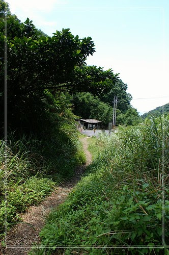 PICT4409