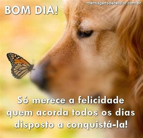 bom  bom  boa tarde boa noite