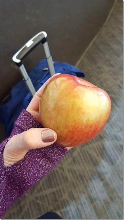 fancy nails at airport (450x800)