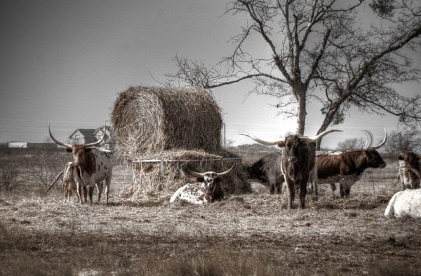 © copyright 2011, Robert D. Barrett