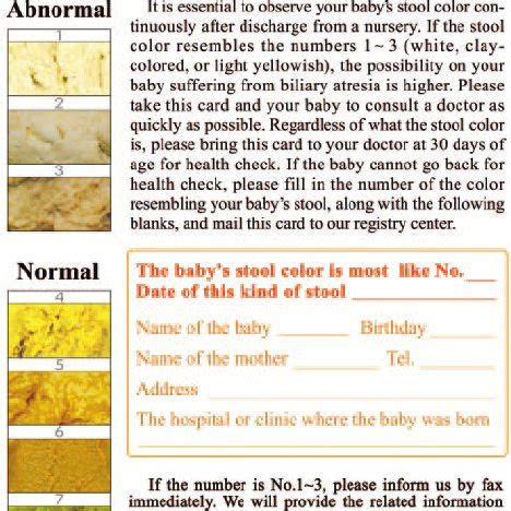  stool color chart pictures for adults lucas mafaldo