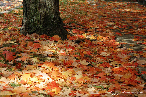 Fall
