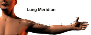 Yin Yoga Lung Meridian Poses Myoga Studio Lausanne