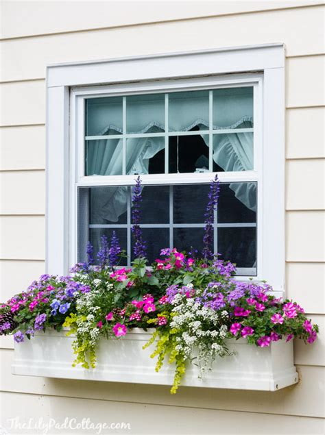 creative window boxes hative