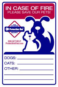 PET DECAL