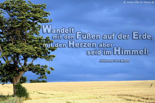 kurze geburtstagssprüche bruder