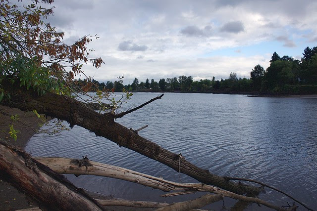 Elk Rock Island