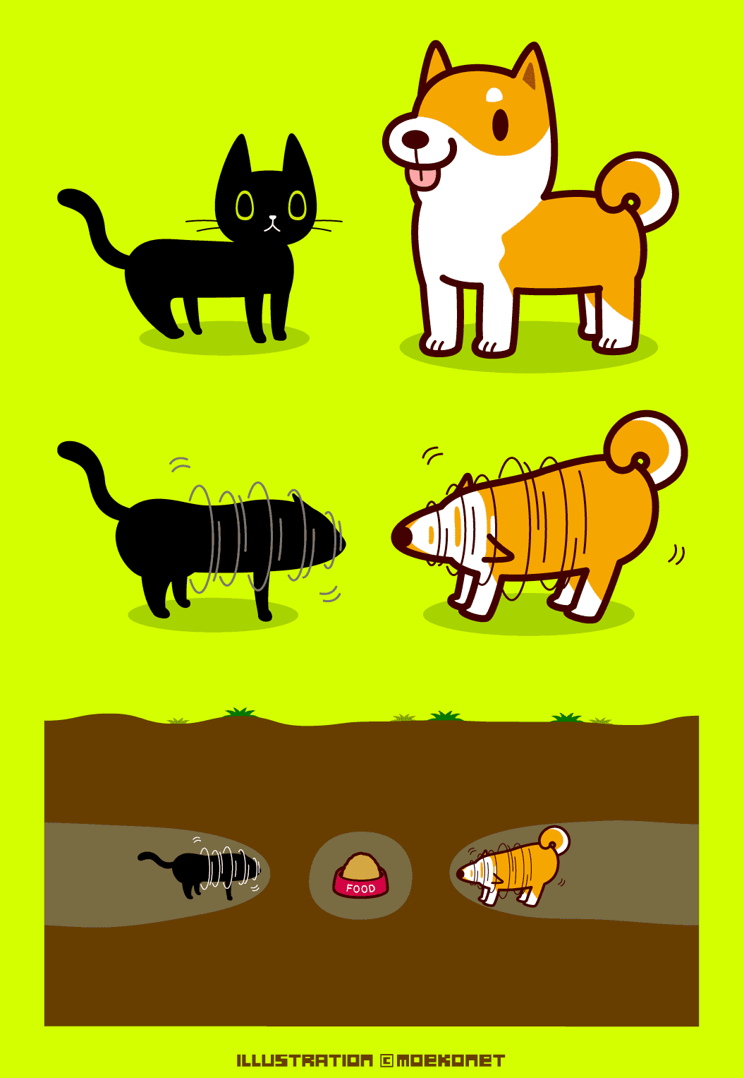 動物イラストno 1 柴ドリル 猫ドリル イラスト制作moekonet