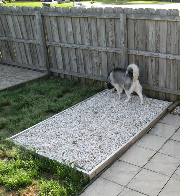 20 Creative DIY Dog Playground In The Backyard | HomeMydesign Do you have suggestions for keeping dogs off a section of grass that is being replanted?