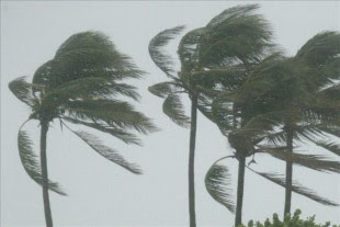 Una depresión tropical se transforma en tormenta cuando sus vientos máximos sostenidos alcanzan los 63 kilómetros por hora. EFE/Archivo