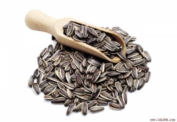 Nếu muốn làn da luôn trẻ đẹp và căng mịn, hãy ăn 5 loại thực phẩm sau