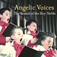 Singers Com Various Arrangers Sing In The Barbershop