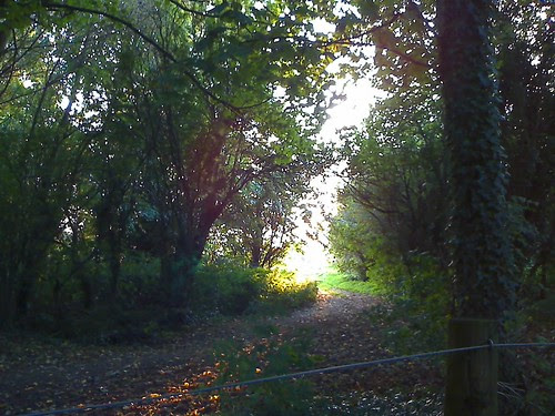 Bradlaugh Fields, Northampton at Dusk.