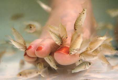 poisson massage