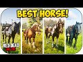 Black snowflake appaloosa rdr2 location 301046