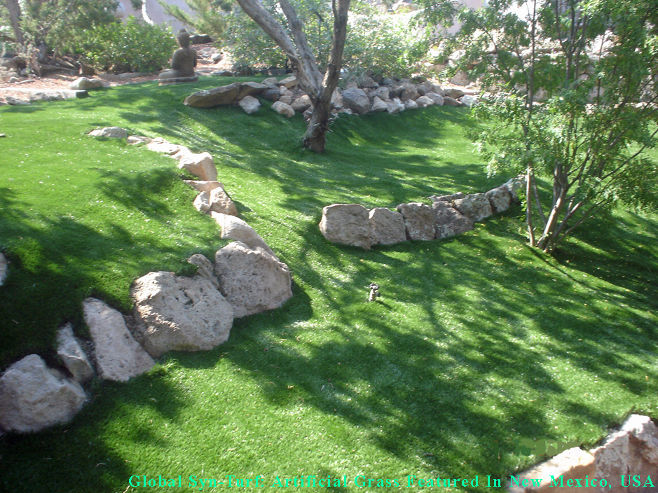 36_133_synturf_012