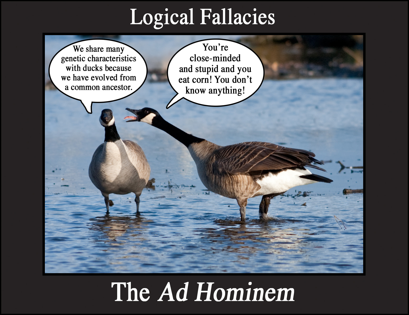 evidence argument fallacy external fb3fc3ec27 o.jpg 4550001017 image
