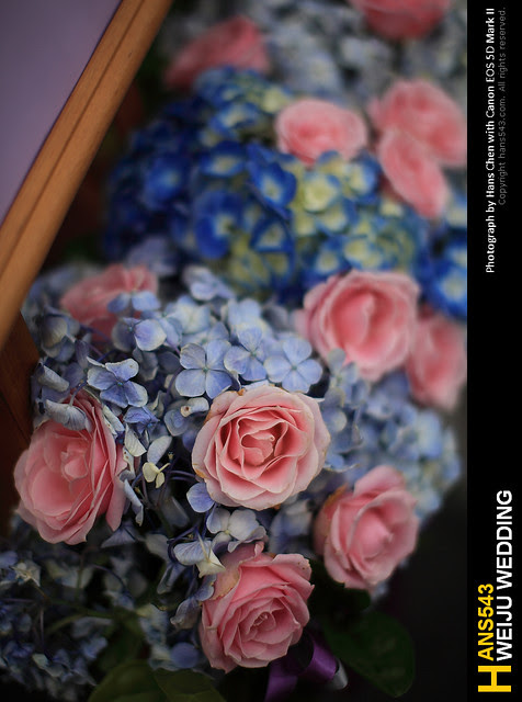 WeijuWed_044