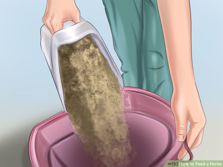 Feed a Horse Step 5 Version 2.jpg