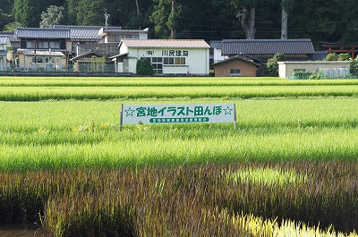 八幡ガラス 二代目日記 宮地イラスト田んぼ