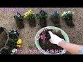 √ ビオラ ハンギングバスケット 作り方 257889
