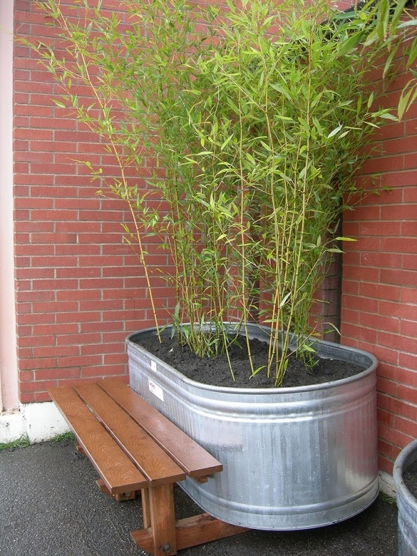21 DIY Ways To Reuse Stock Tanks In The Home Garden 21 DIY Ways To Reuse Stock Tanks In The Home Garden