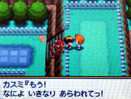 ポケモンスター ハートゴールド ソウルシルバー プレイ日記 カントー編 3 どうぶつの森 と過ごす日々