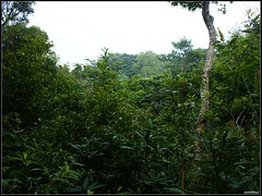 DSC04559