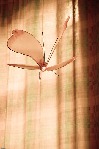 Fly away - {P6140290} (by X-it)
