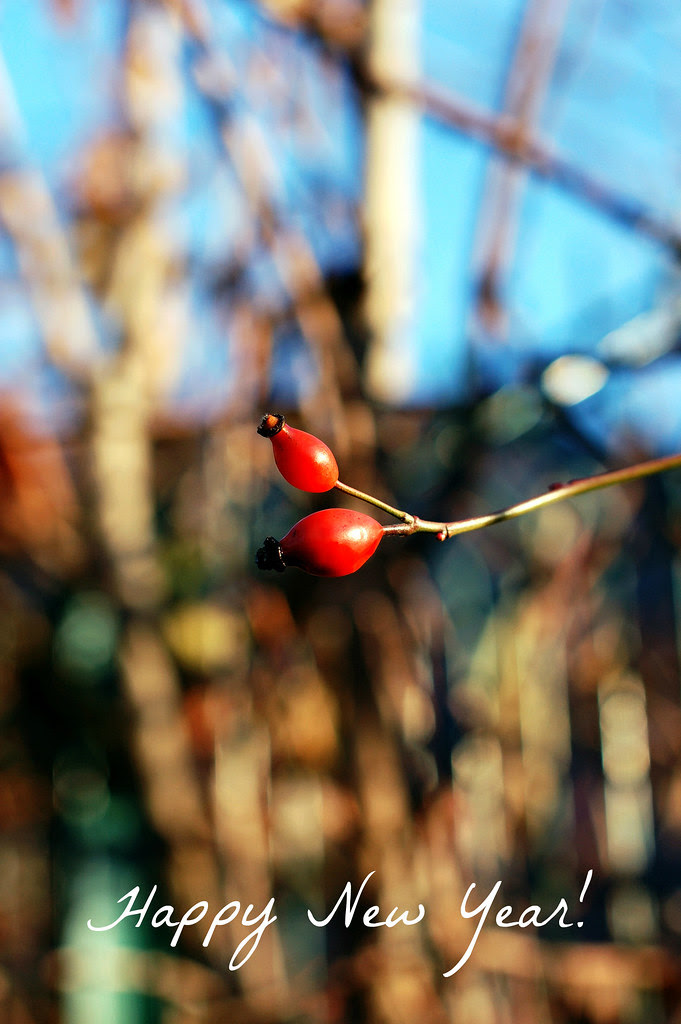 Rose Hip