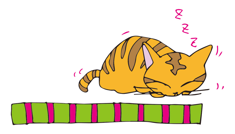 寝てる時や起きてる時に猫の背中がピクピク痙攣する本当の理由