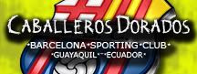 Caballeros Dorados BSC