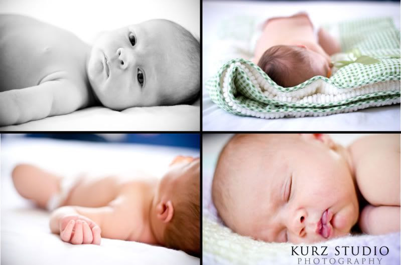 tampa newborn photography sebring florida