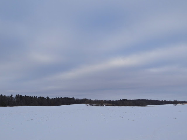 DSC02656 - Version 2