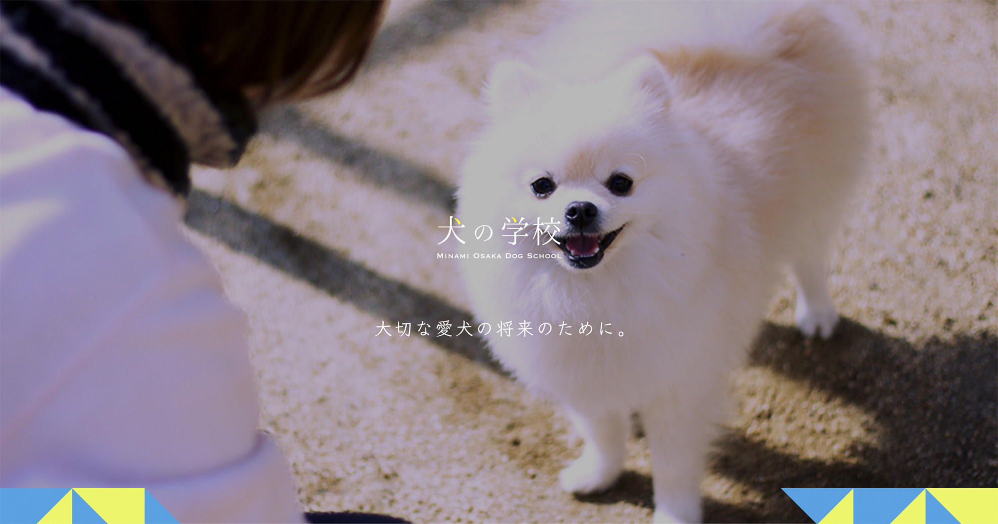 無駄吠え プロが教えるしつけアドバイス 大阪府河南郡太子町にある犬の学校 南大阪警察犬 愛犬訓練所