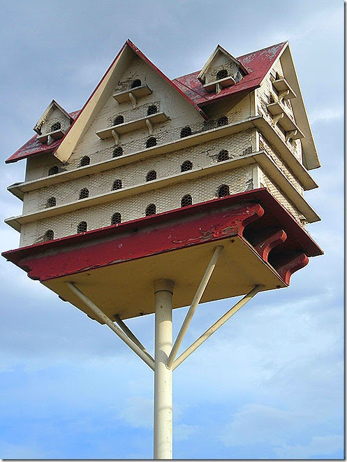 Woodwork Bird condo birdhouse plan Plans PDF Download Free ...
