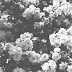 Black And White Aesthetic Background - Steam Community Guide Best Black And White Backgrounds : 10 latest deadpool vs wolverine wallpaper full hd 1920×1080 for pc background.