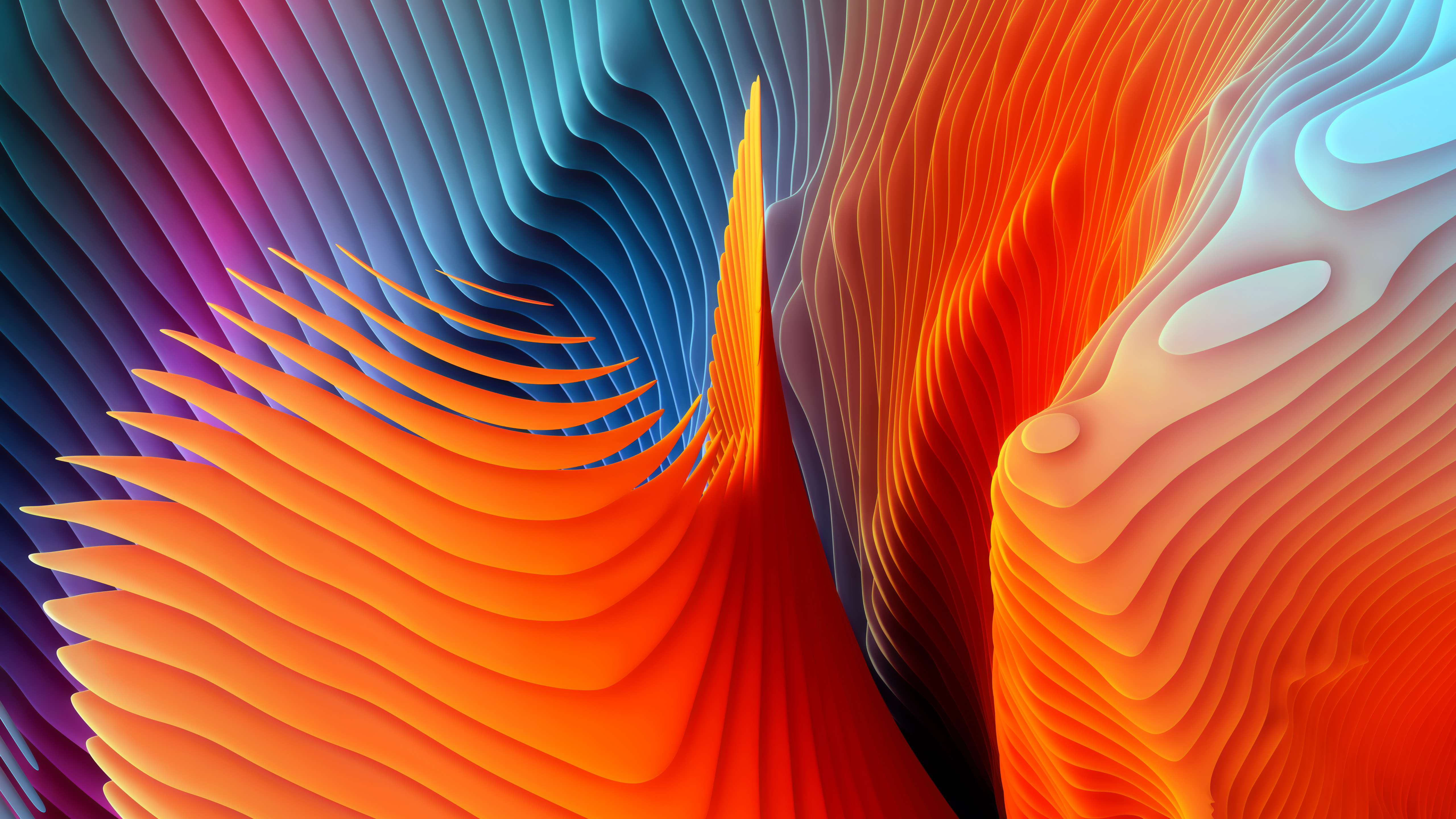 Download New Color Splash & Abstract Shapes Wallpapers