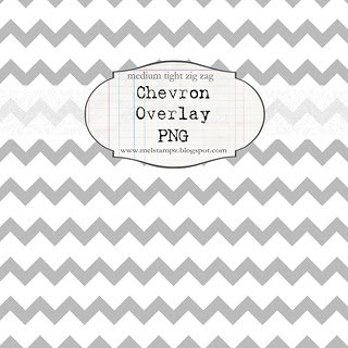 chevron tight med WHITE overlay preview NOT FOR PRINT