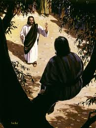 Zacchaeus