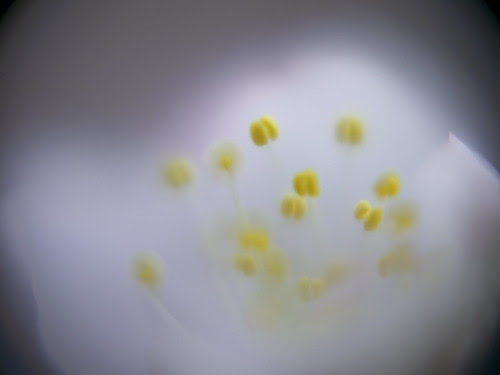 _3134805