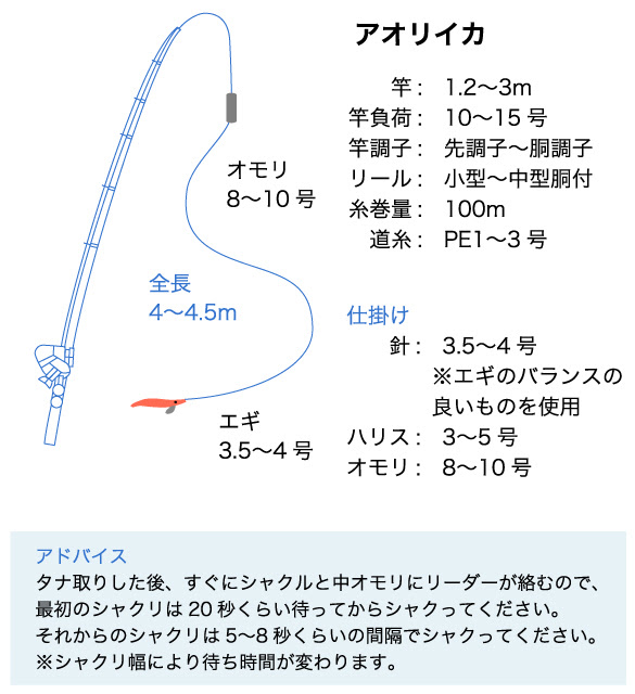 喜平治丸で中オモリを使ったアオリイカ釣りに挑戦 Mr Nobite 釣りリアルを求めて