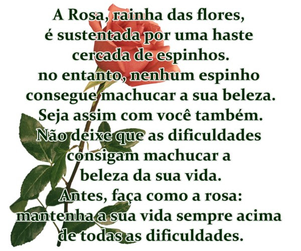 Resultado de imagem para O SOL ENNERGIA MENSAGEM