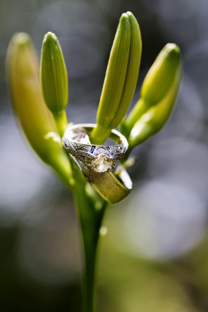 Image: Hannah Rose Photos