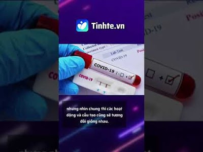 7+ Que Test Nhanh Covid For You