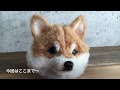 羊毛 フェルト リアル 犬 336683-羊毛フェルト リアル 犬 作り方