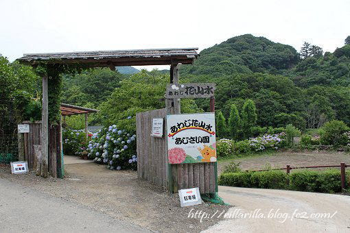 自然と一体になった あじさい園 あわじ花山水 へ 淡路島