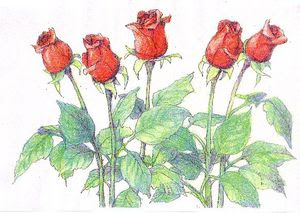 バラを描く 大人の塗絵 スケッチを楽しもう 塗り絵で癒し 風景画 花の絵
