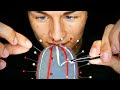 Asmr Triggers Test
