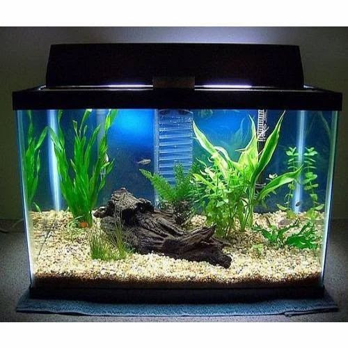 Aquarium Fish Tank Prices
